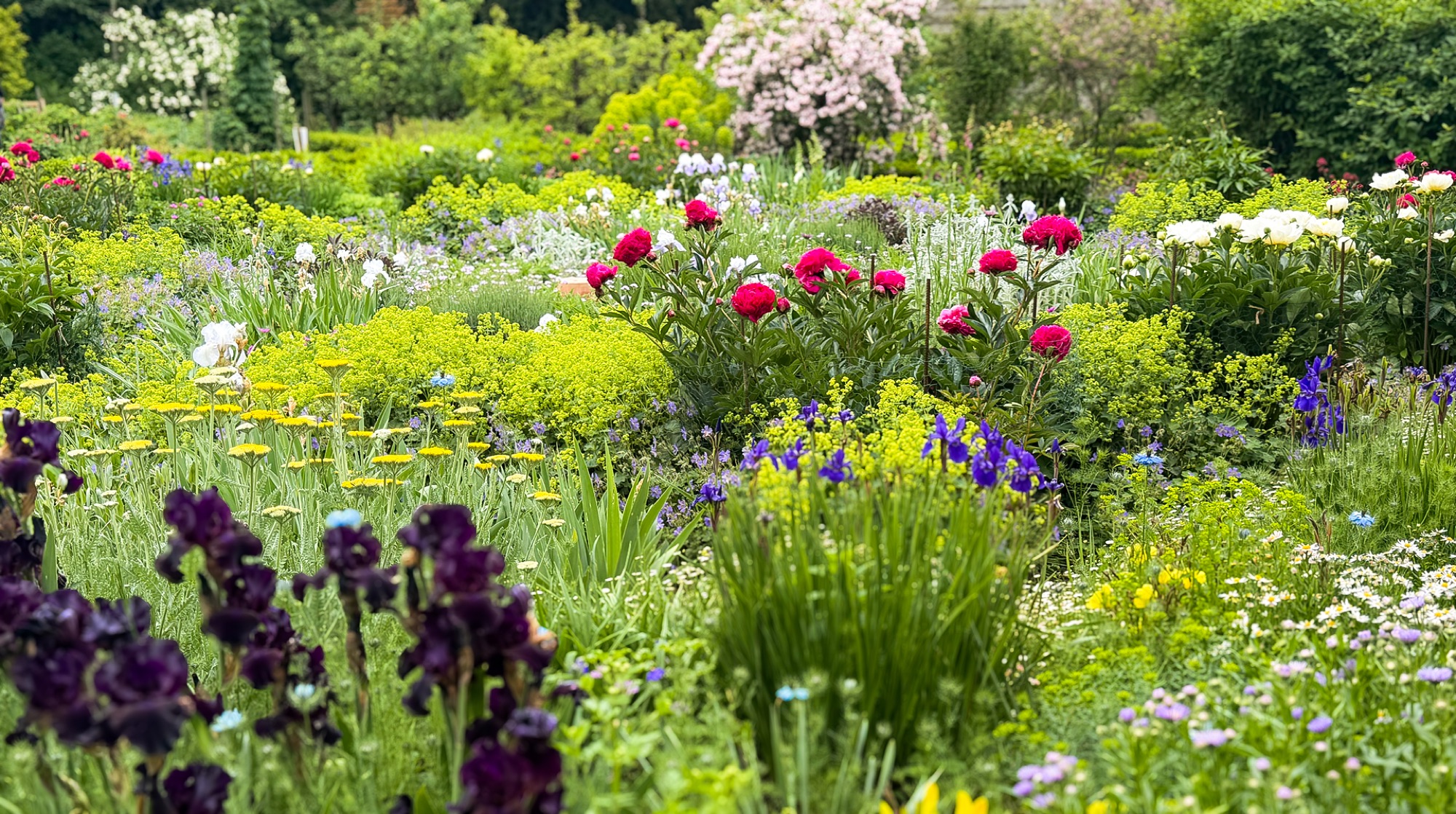Klostergarten in voller Blüte